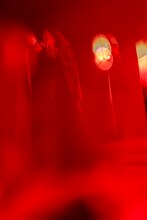 R-指定（Creepy Nuts）（撮影：高田梓）