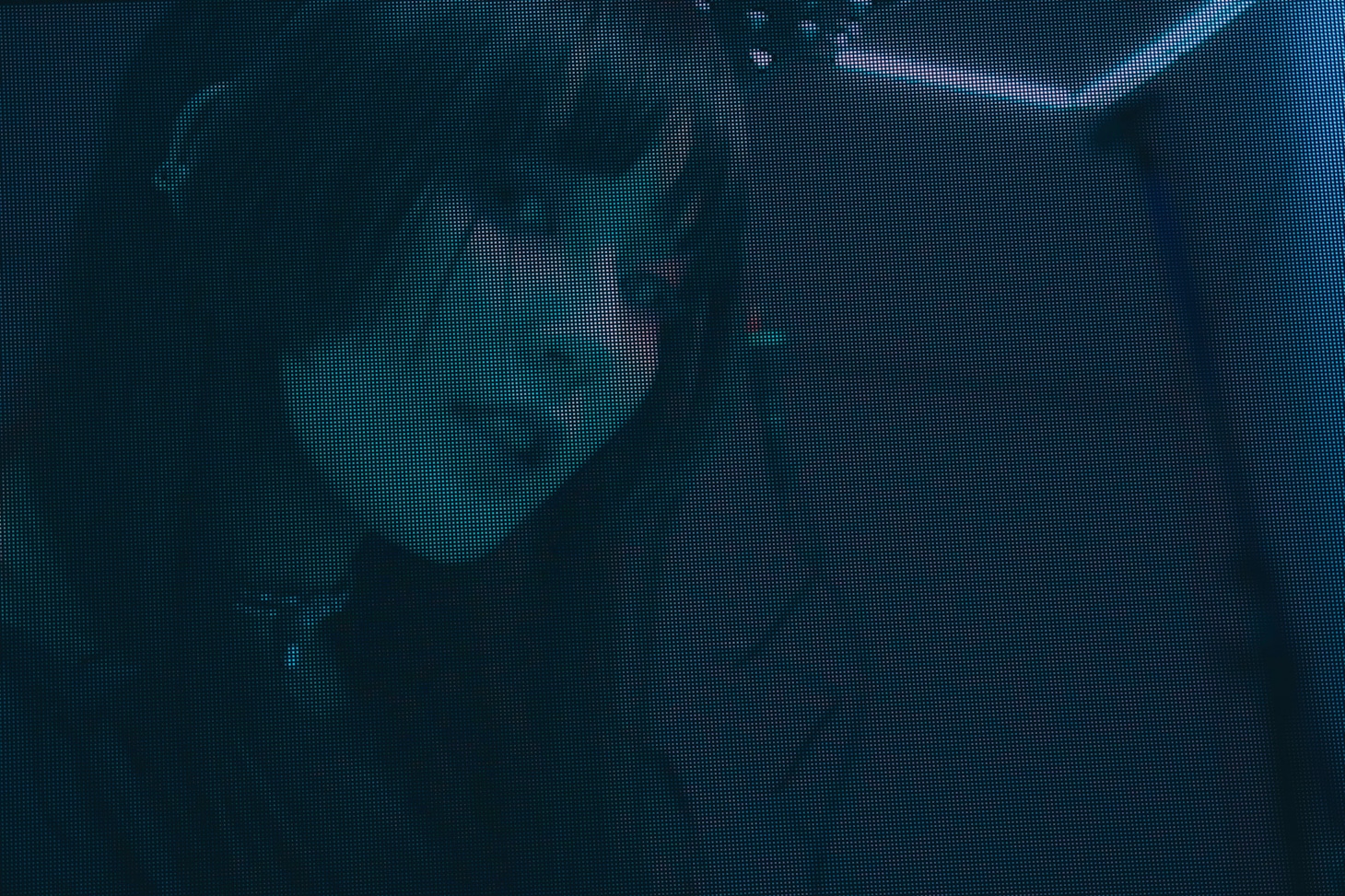 Daoko（撮影：太田好治）