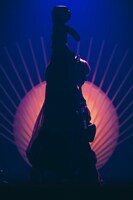 椎名林檎（撮影：太田好治）