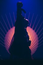 椎名林檎（撮影：太田好治）