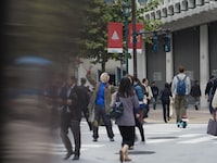 「PERFECT DAYS」より。