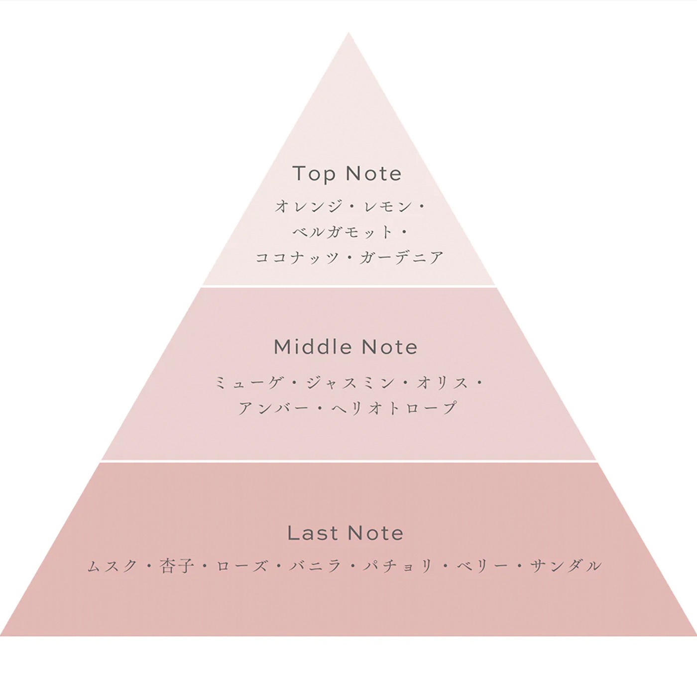 「Aine（アイネ）-Eau de parfum-」の香調。