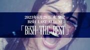BiSH「BiSH THE BEST」商品ダイジェストより。