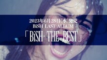 BiSH「BiSH THE BEST」商品ダイジェストより。
