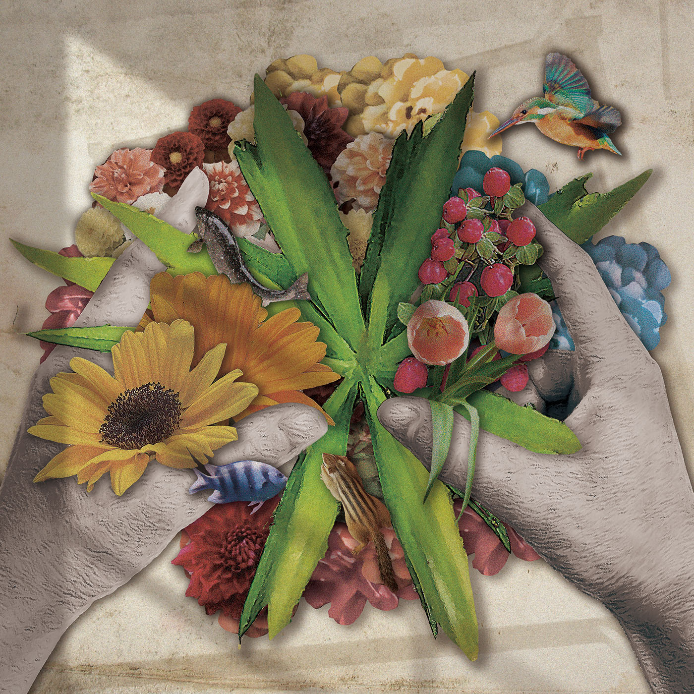 jizue「biotop」ジャケット