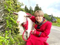 「ヤギと大悟」より。(c)テレビ東京