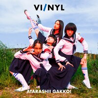 「VI/NYL #012」裏表紙