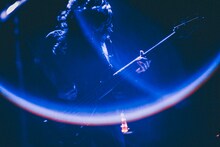 高松浩史（B / The Novembers）（撮影：西槇太一）