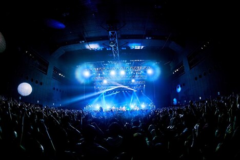 マカロニえんぴつ「マカロックツアーvol.15 ～あやかりたい！煌めきビューチフルセッション編～」より5月18日 の東京・Zepp DiverCity（TOKYO）公演の様子。（撮影：酒井ダイスケ）