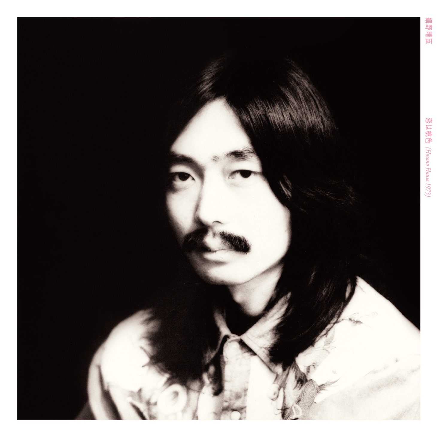 V.A.「HOSONO HOUSE COVER」ジャケット