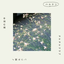 グソクムズ「ハルケシ」配信ジャケット