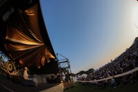 原田郁子のライブの様子。