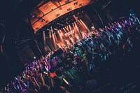 PIGGS（撮影：村長）