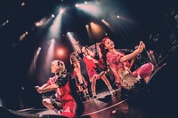 PIGGS（撮影：村長）