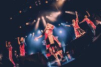 PIGGS（撮影：村長）