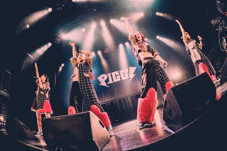 PIGGS（撮影：村長）