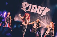 PIGGS（撮影：村長）