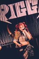 SHELLME（撮影：村長）