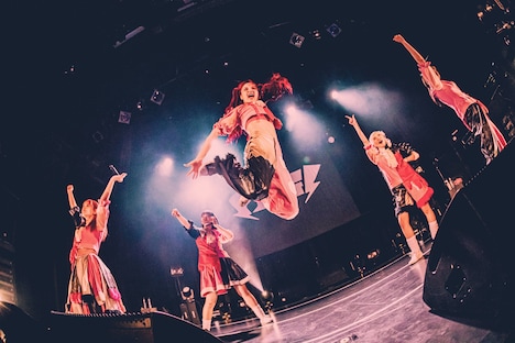 PIGGS（撮影：村長）