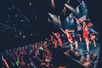 PIGGS（撮影：村長）