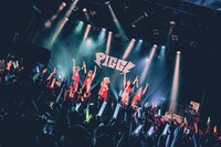 PIGGS（撮影：村長）