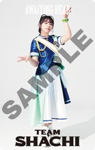 TEAM SHACHI「AWAiTiNG BEAR」Mカードジャケット