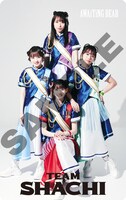 TEAM SHACHI「AWAiTiNG BEAR」Mカードジャケット