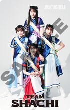 TEAM SHACHI「AWAiTiNG BEAR」Mカードジャケット