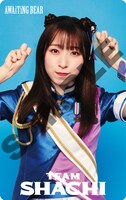 TEAM SHACHI「AWAiTiNG BEAR」Mカードジャケット