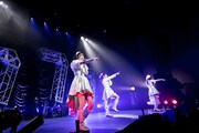 「Task have Fun 結成7周年記念ツアー『Lucky7』」ファイナル公演の様子。