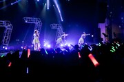 「Task have Fun 結成7周年記念ツアー『Lucky7』」ファイナル公演の様子。