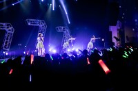 「Task have Fun 結成7周年記念ツアー『Lucky7』」ファイナル公演の様子。