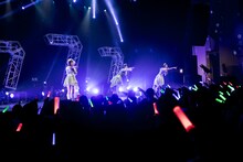 「Task have Fun 結成7周年記念ツアー『Lucky7』」ファイナル公演の様子。