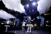 「Task have Fun 結成7周年記念ツアー『Lucky7』」ファイナル公演の様子。