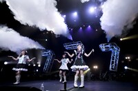 「Task have Fun 結成7周年記念ツアー『Lucky7』」ファイナル公演の様子。