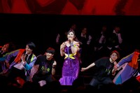 「YOKO TAKAHASHI EVANGELION ultimate Live『月十夜』」の様子。（撮影：小境勝巳）