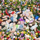 夜ダン、イナ戦、4s4ki、でんぱ組.incがギャンパレにコメント返し