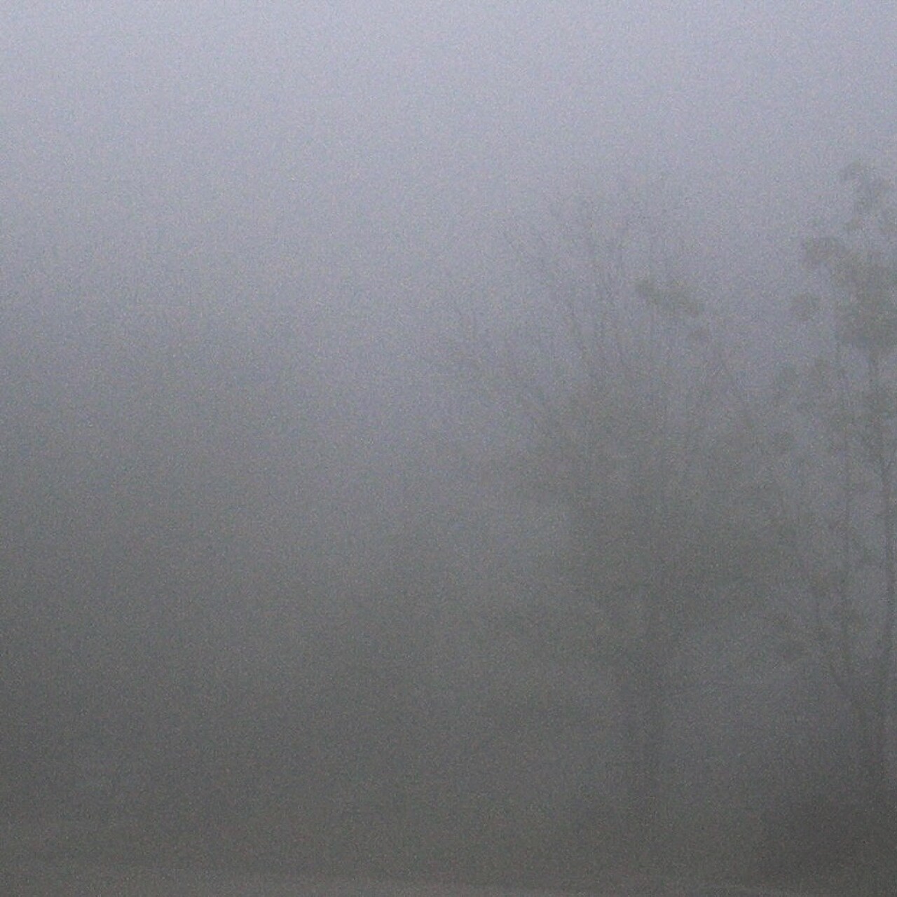 downtの新機軸を示す新作「III」配信＆アナログリリース