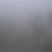 downt「III」ジャケット