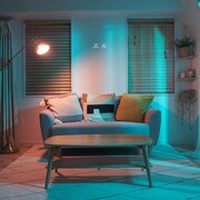 ヒナタトカゲ「エル」ジャケット