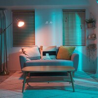 ヒナタトカゲ「エル」ジャケット