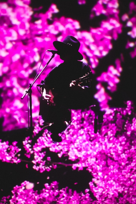 秋田ひろむ（Photo by Victor Nomoto）