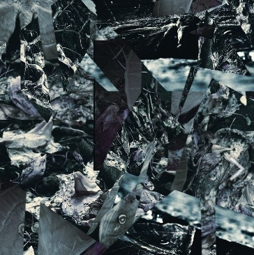 ジグソウ「蚕」B typeジャケット