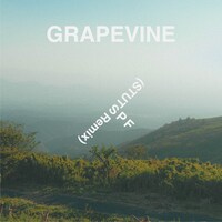 GRAPEVINE「SPF（STUTS remix）」配信ジャケット