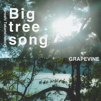 GRAPEVINE「Big tree song（Hiroshi Takano remix）」配信ジャケット