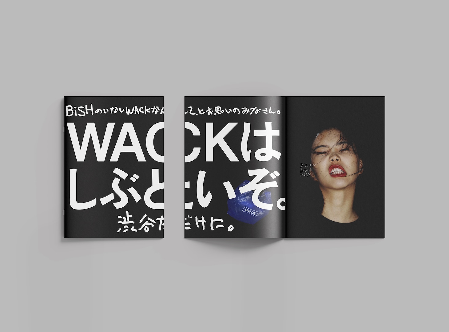「WACKしぶとい本（ぼん）」イメージ