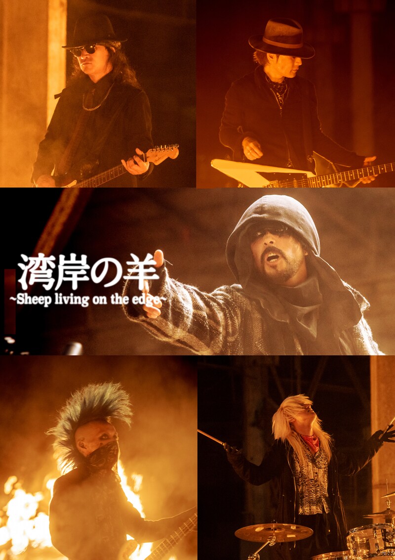 湾岸の羊~Sheep living on the edge~