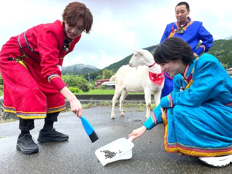 「ヤギと大悟」より。(c)テレビ東京