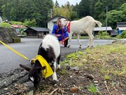 「ヤギと大悟」より。(c)テレビ東京