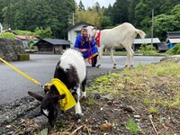 「ヤギと大悟」より。(c)テレビ東京